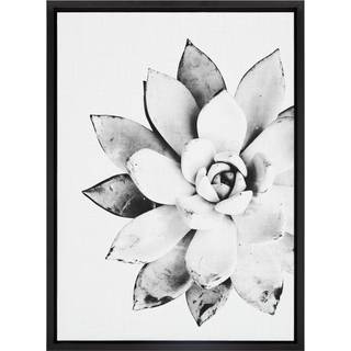 Kate og Laurel Sylvie Black and White Modern Succulent Print Framed Canvas Wall Art af Simon Te Tai 18x24 Black