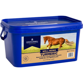Dodson & Horrell Turmeric (Gurkemeje), 2 kg