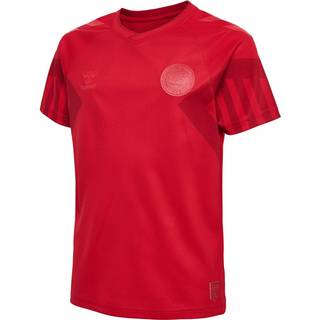 Denmark home jersey World Cup 2022 - youth-152