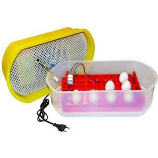 Rugemaskine auto-vending 12 æg