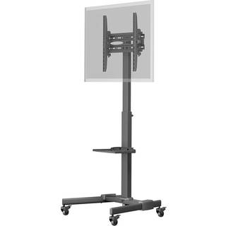 TV Presentation Stand Basic