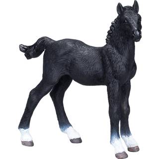 Mojo hanoverian Føl, Sort