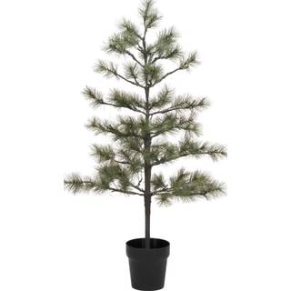 House Doctor Juletræ Med LED Peuce Natur H125
