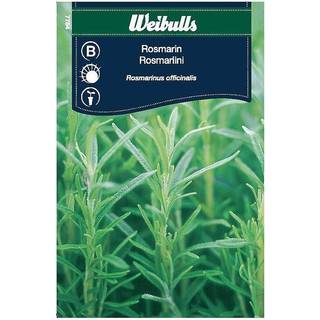Rosmarinfrø (Rosmarin rosmarinus officinali)
