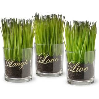 National Tree Company Artificial Potted Plant Set Green Plant Sprouts Square Glass Pot Base med meddelelser Pakke med 3 Spring Collection 6 tomme
