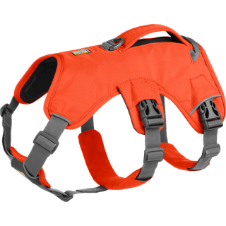 Sele Web Master XS orange