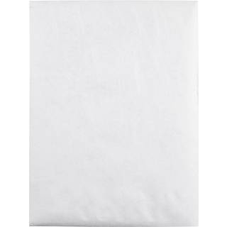 Kvalitetspark R2400 Advantage Flap Stik Tyvek Mailer 9 X 12 White (Box of 100)