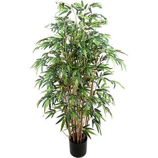 Mr Plant, Bambu 150 cm