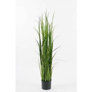 Mr Plant, Græs 135 cm