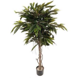 Mr Plant, Longifolia Træ 150 cm