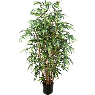 Mr Plant, Bambu 120 cm