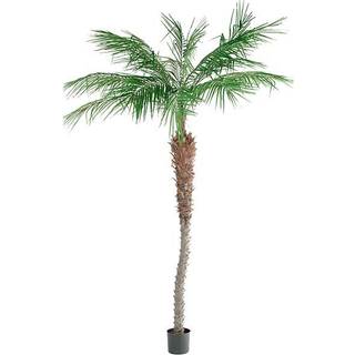 Kunstig palme Phoenix