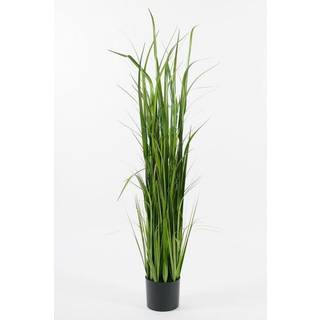 Mr Plant, Græs 150 cm