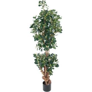 Mr Plant, Panda Figen 120 cm