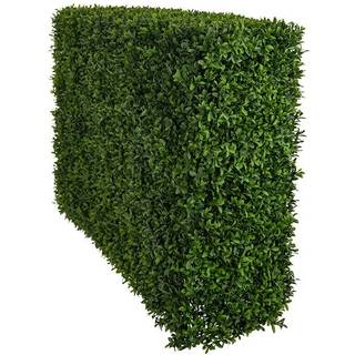 Mr Plant, Buxbom Busk 75 cm