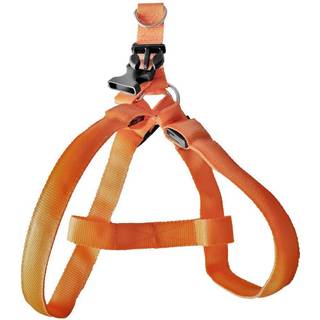 Active Canis Led Light Harness L Blue