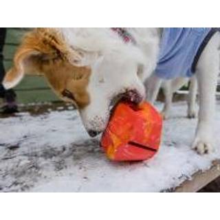 Snacksten Gnawt-a-Rock ca. 11x11x11 cm rød