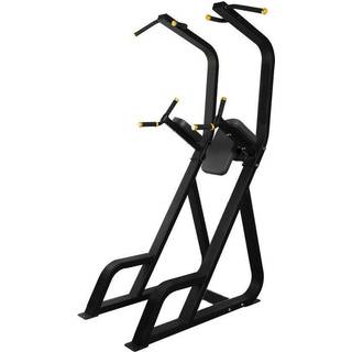 Thor Fitness VERTICAL KNEE UP AB DIP CHIN