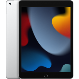 Apple iPad (2021) 64GB 4G - Silver
