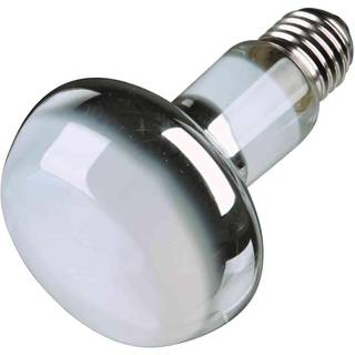Trixie Basking Spot-Lamp UV-A 100W NR80 ø 80 x 108mm E27