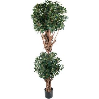 Mr Plant, Panda Figen 180 cm