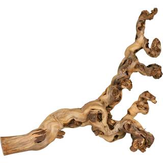 Trixie Grape Vine water-blasted for birds and small animals 55-75cm