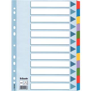 Esselte Mylar Faneblade | A4 | Karton | 12 faner