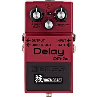 Boss DM-2w Delay