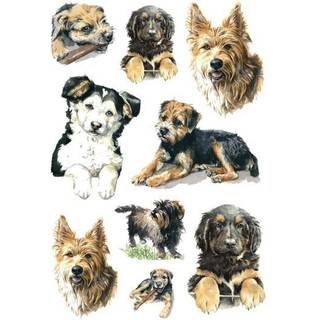 Herma stickers selvklæbende klistermærker - Decor hunde