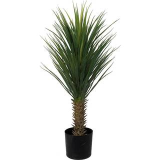 Mr Plant, Yucca Rostrata Træ 100 cm