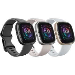 Fitbit Sense 2 Shadow Grey/Graphite