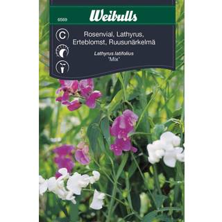 Blomsterfrø (Lathyrus/Ærteblomster 'Mix')