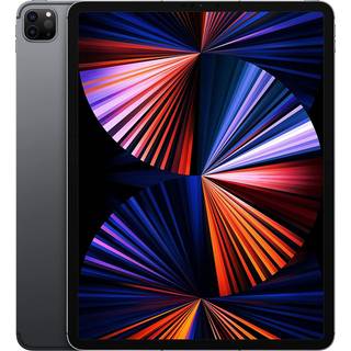 iPad Pro 12,9" 2021 256 GB WiFi + Cellular (space gray)