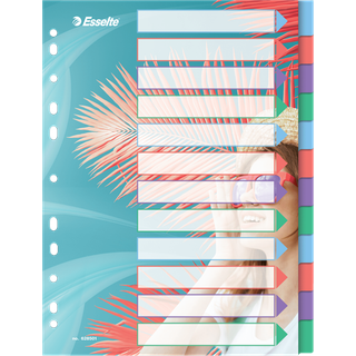 Faneblad Colour'Breeze PP A4 12d, Esselte 628501, 10stk