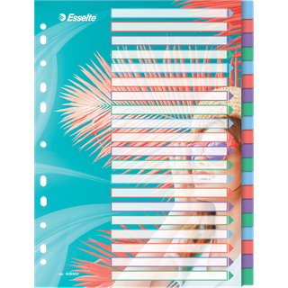 Esselte Colour'Breeze A4-register 20 faner, PP