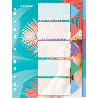 Faneblad Colour'Breeze PP A4 5-d, Esselte 628498, 20stk