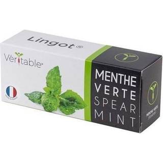 Pakke med &#34;Lingot&#34; myntefrø - VERITABLE mærke
