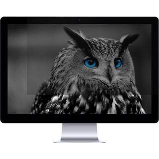 Natec Owl Screen Privacy Protector 24″ 16:9 Privatlivsfilter
