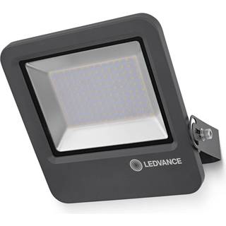 LEDVANCE Endura Flood udendørsspot 840 DG 100W