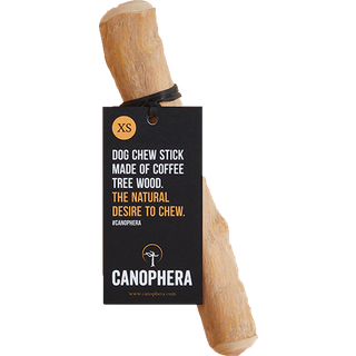 Canophera - coffee tree 18cm - XS - (CANO0122)