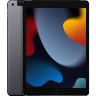 iPad 10,2" (2021) 256 GB 4G LTE (space gray)