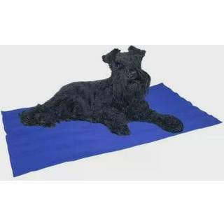 Hund tæppe Nayeco Blå Afkølende gel (50 x 90 cm)