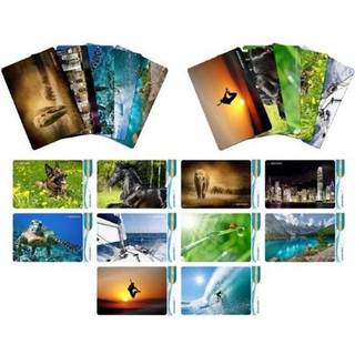 Esperanza EA133 mouse pad Multicolor