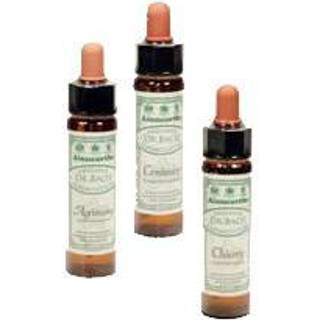 Dr. Bach Tornblad - 10 ml