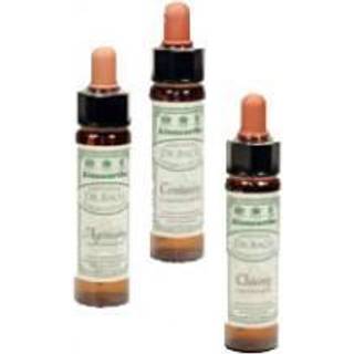 Dr. Bach Kaprifolie Engholm - 10 ml