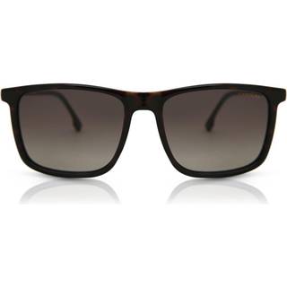 Carrera 231/S 086/HA 55 Solbriller Mænd Tortoiseshell - Dark Tortoise - 55mm