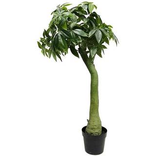 Mr Plant, Pachira Træ 160 cm