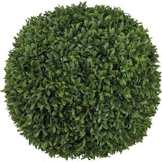 Mr Plant, Buxbom Kugle Grøn 60 cm