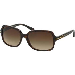 Coach HC8116 L087 BLAIR 500113 56 Solbriller Kvinder Tortoiseshell - Dark Tortoise - 56mm