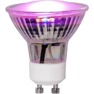 Star trading - LED LAMP GU10 MR16 PLANT LYS - 3,5W